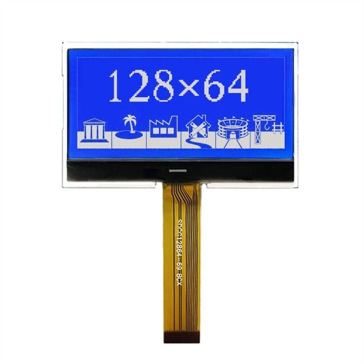 2.5 Inch 128x64 Graphic LCD
